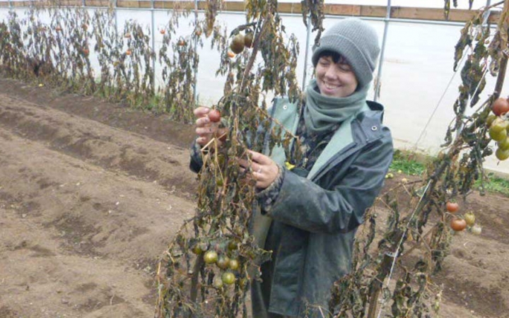 A person appears to pull up dead plants during a service project with outward bound. 